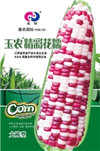 玉农精彩花糯