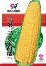 玉农三A金甜糯
