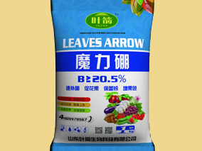 魔力硼