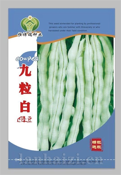 九粒白