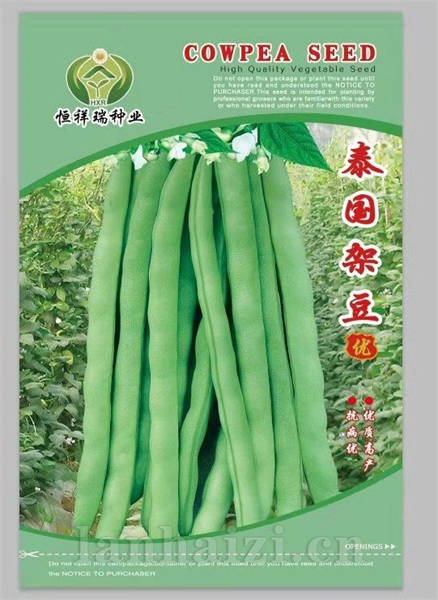 泰国架豆