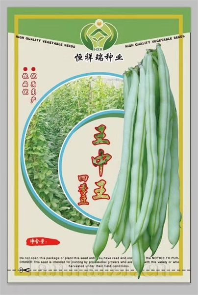 王中王四季豆