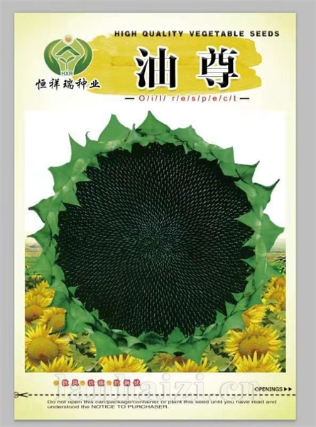 油尊葵花种子