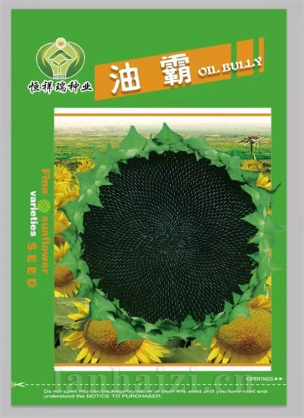 油霸葵花种子