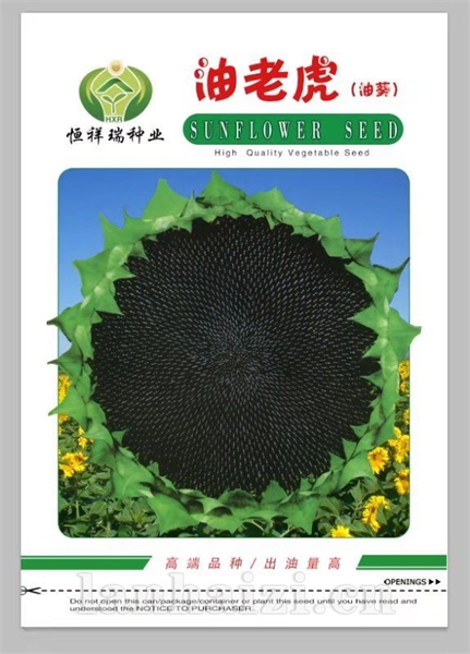 油老虎葵花种子