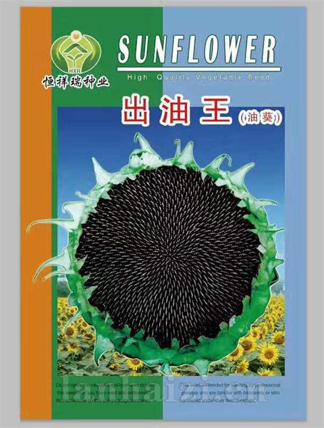 出油王葵花种子