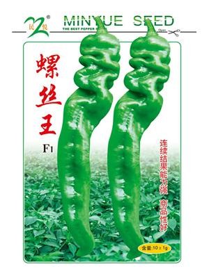 螺丝王F1