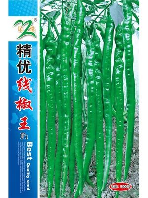 精优线椒王