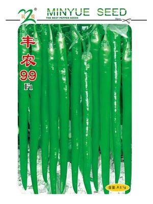 丰农99辣椒种子
