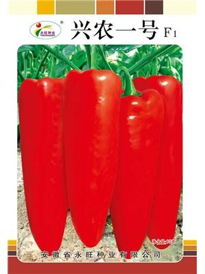 兴农一号辣椒种子