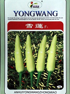 雪莲