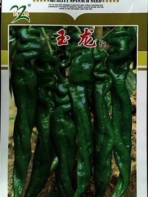 玉龙
