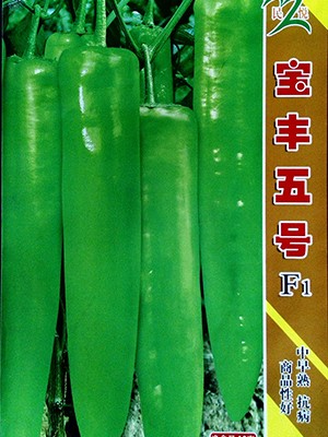 宝丰五号