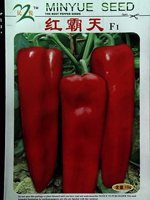 红霸天