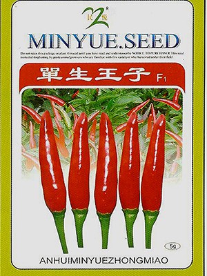 单生王子F1-1
