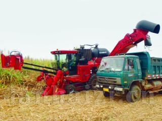 凯斯A8000甘蔗收获机