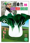 兴希兰998黑叶甜白菜