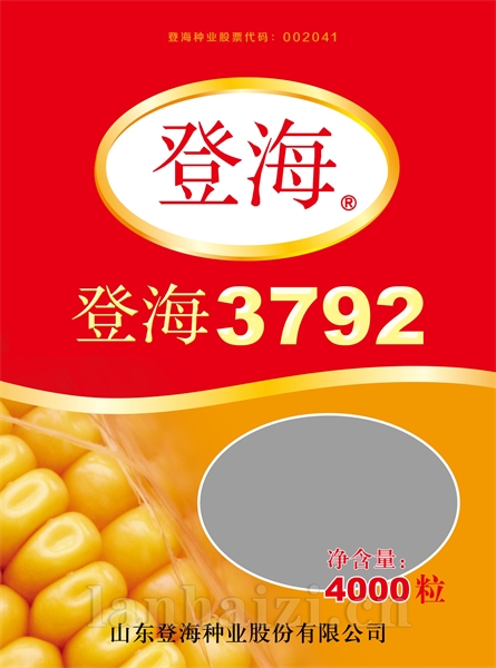 登海3792