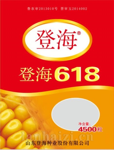 登海618