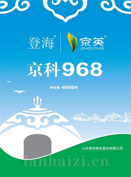 京科968