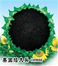 葵花种子—美国矮大头HM668