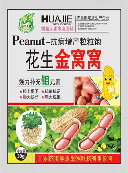 花生金窝窝