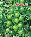 番茄种子－绿宝石
