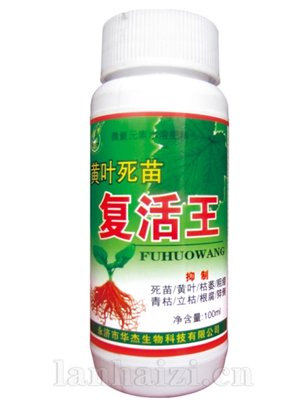 黄叶死苗复活王