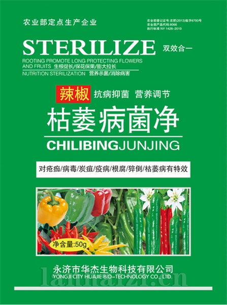 辣椒枯萎病菌净