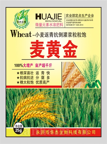 麦黄金
