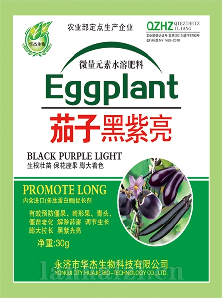 茄子黑紫亮