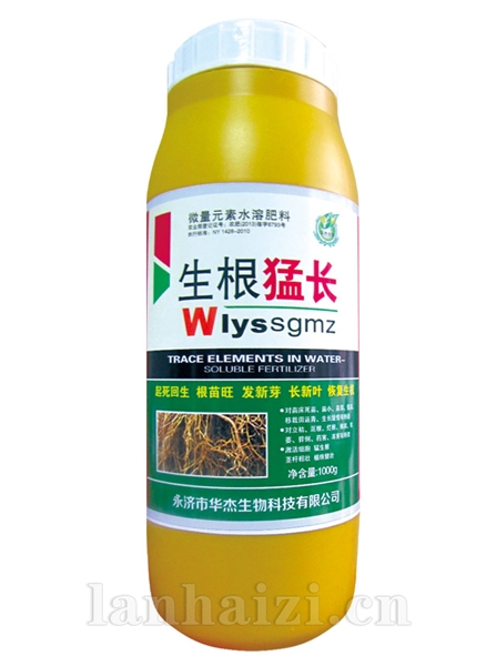 生根猛长