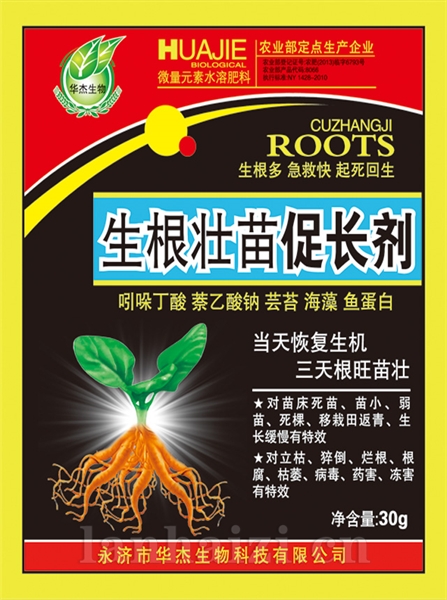 生根壮苗促长剂