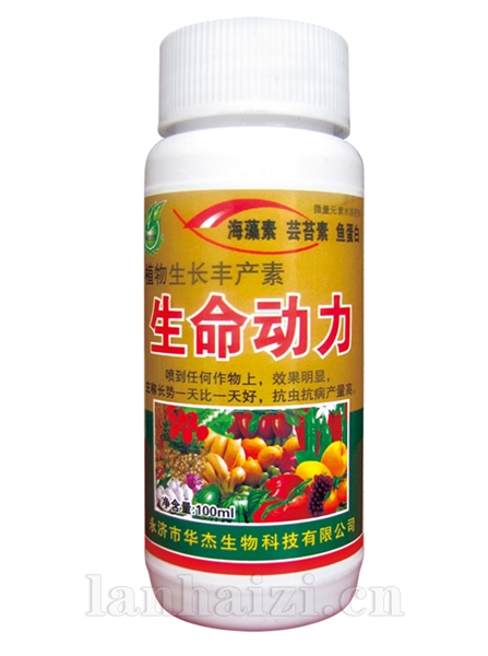 生命动力
