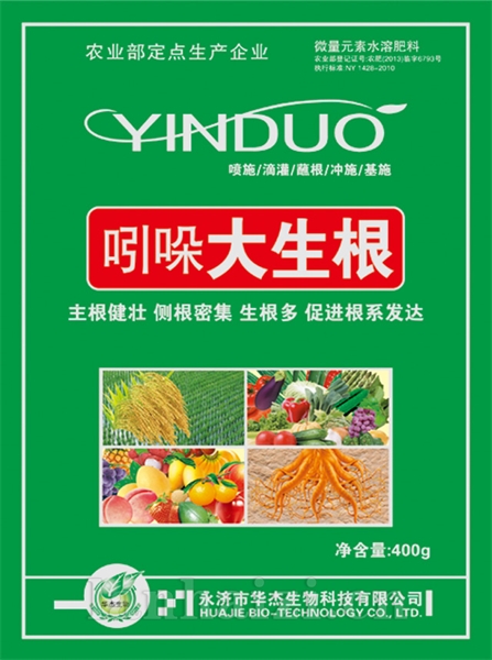 吲哚大生根