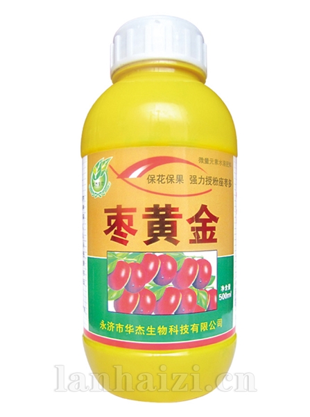 枣黄金