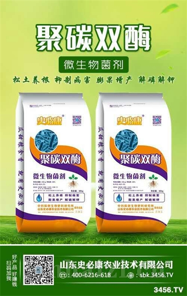 聚碳双酶