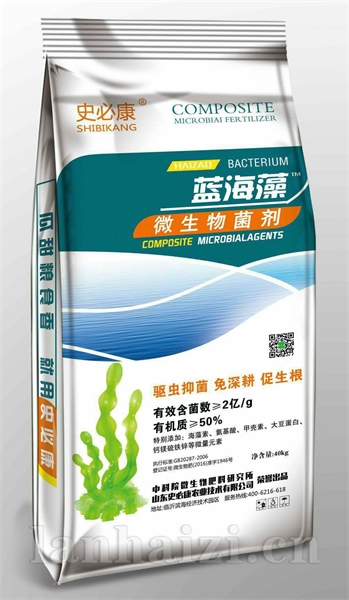蓝海藻