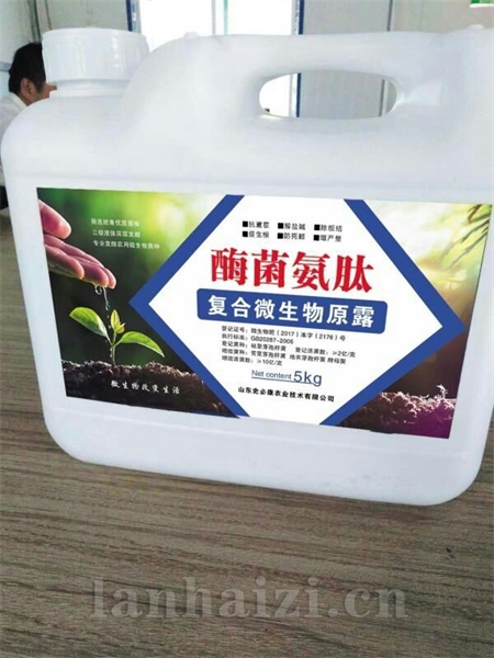 酶菌氨肽