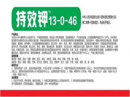迪佳美持效钾