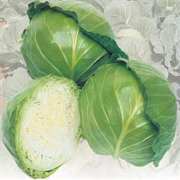 如 意