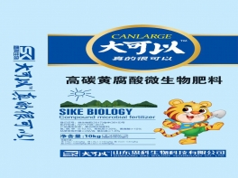大可以 10kg