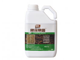 根深蒂固