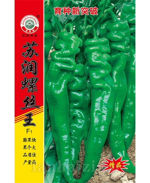 苏润螺丝王