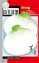 白玉洋葱
