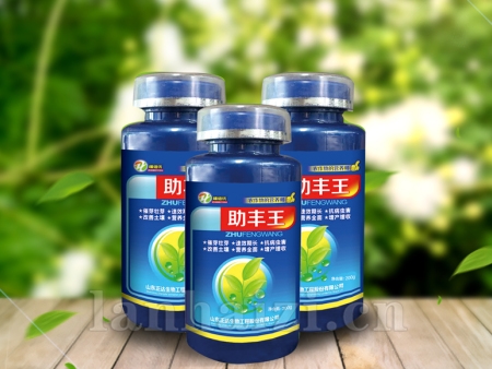 助丰王