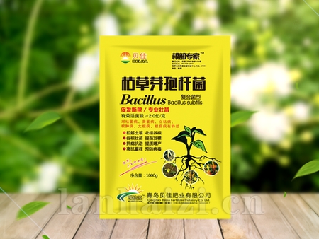 枯草芽孢杆菌