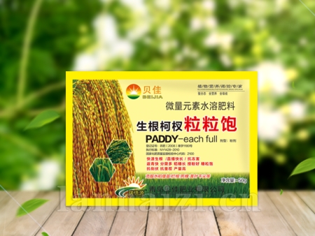 生根柯杈粒粒饱