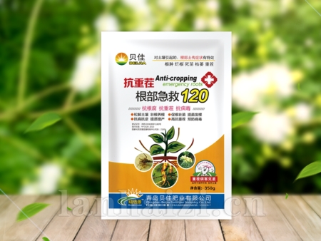 根部急救120