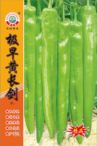 极早黄长剑